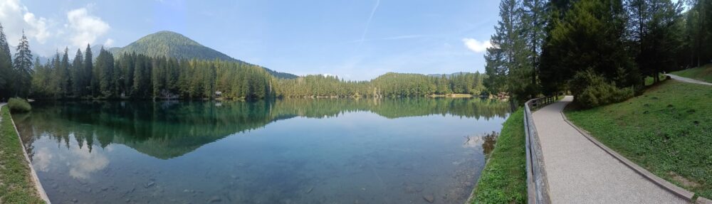 La medaglia di patata